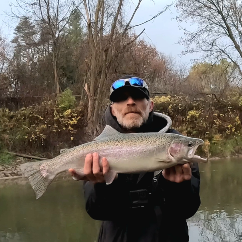Fish Image